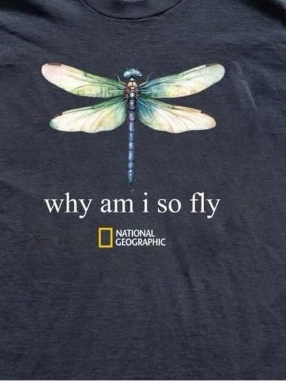 National Geographic Black Tee with Pastel Dragonfly Graphic - Picture 2 of 2